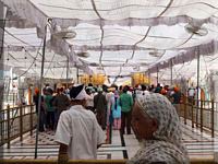 Golden Temple - Temple d'Or