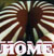 To the main Homepage!