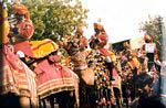Rajputs and camels